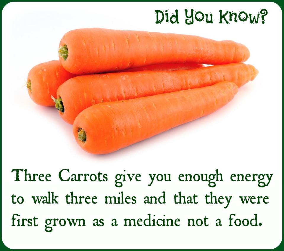 Benefits-Of-Carrots_81280.jpeg