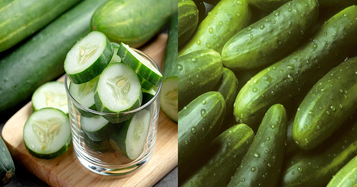 The Benefits Of Eating Cucumber