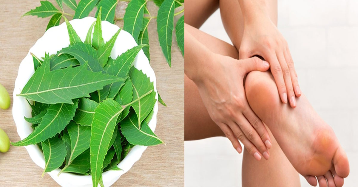 Neem Leaves Make Your Skin Soft And Smooth