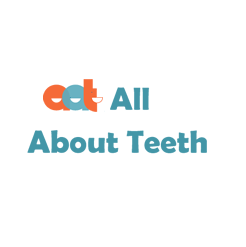 All About Teeth